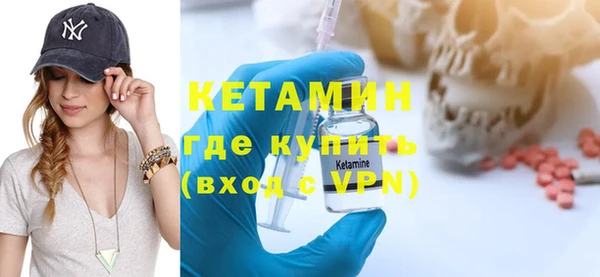 трава Ельня