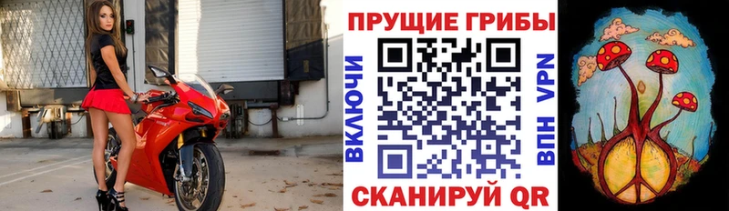 Галлюциногенные грибы мухоморы  Нальчик 